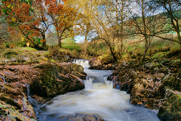 Autumn Falls