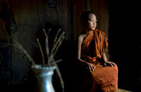 Portrait of a Young Monk