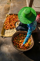Fresh Tomatos