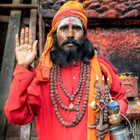 Red Saddu