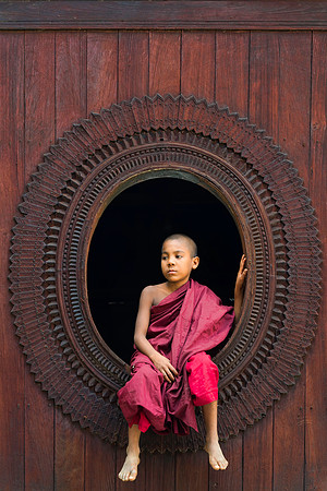 Novice in Window