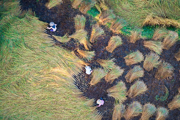 Quiet Farmers